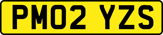 PM02YZS