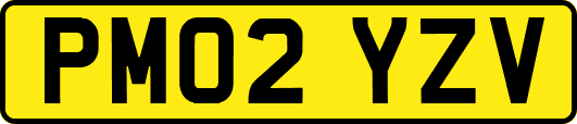PM02YZV