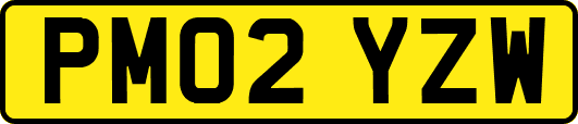 PM02YZW