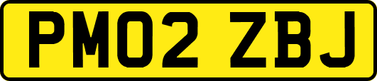 PM02ZBJ