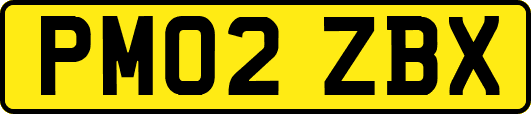 PM02ZBX