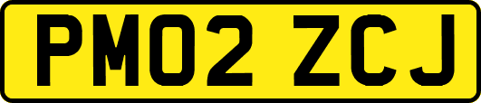 PM02ZCJ