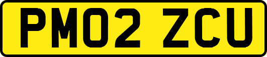PM02ZCU