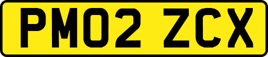 PM02ZCX
