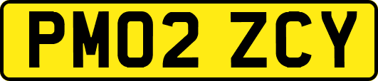 PM02ZCY