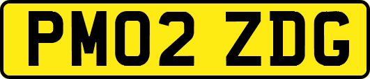 PM02ZDG