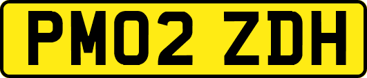PM02ZDH