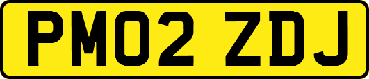 PM02ZDJ