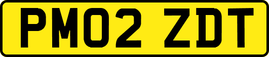 PM02ZDT