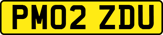 PM02ZDU