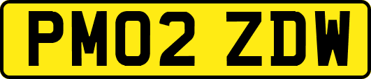 PM02ZDW