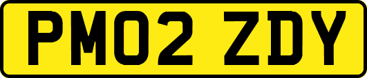 PM02ZDY