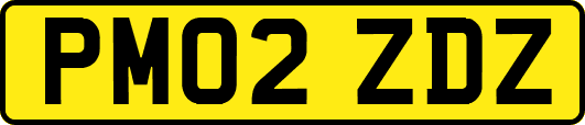 PM02ZDZ