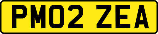 PM02ZEA