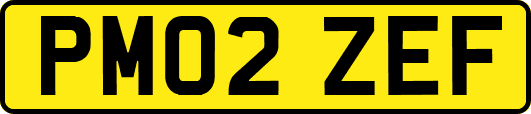 PM02ZEF