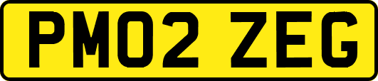 PM02ZEG