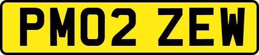 PM02ZEW