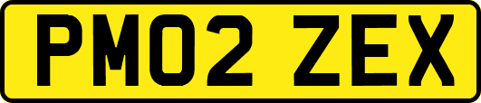 PM02ZEX