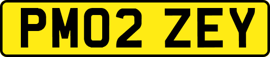PM02ZEY