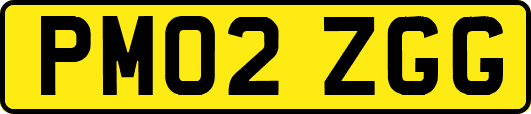 PM02ZGG