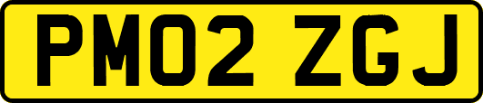 PM02ZGJ