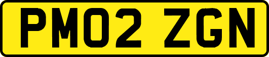 PM02ZGN