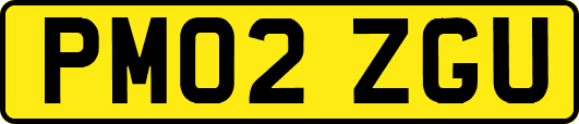 PM02ZGU