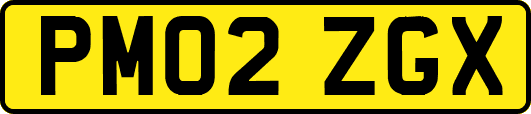 PM02ZGX