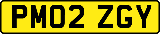 PM02ZGY
