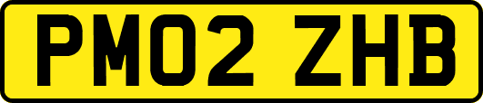 PM02ZHB