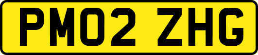 PM02ZHG
