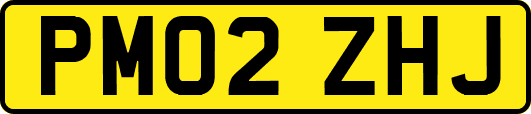 PM02ZHJ
