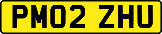 PM02ZHU