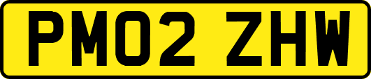 PM02ZHW