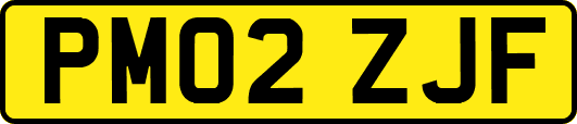 PM02ZJF