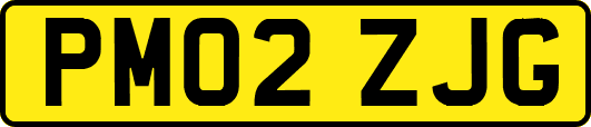 PM02ZJG