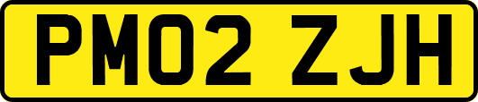 PM02ZJH
