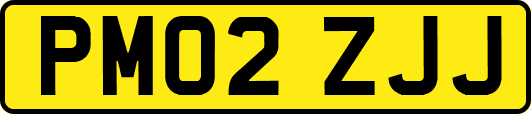 PM02ZJJ