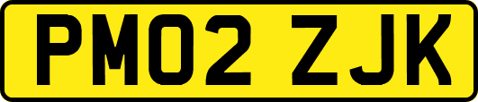 PM02ZJK
