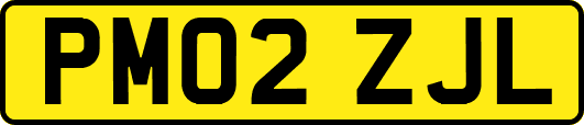 PM02ZJL