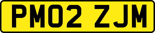 PM02ZJM