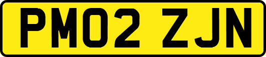 PM02ZJN
