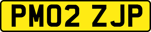 PM02ZJP
