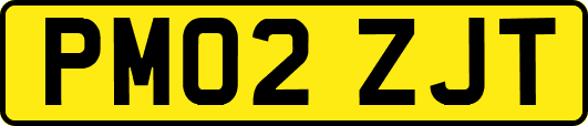 PM02ZJT
