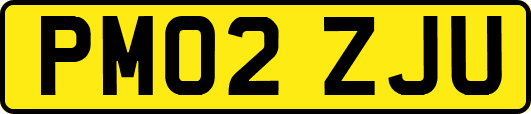 PM02ZJU