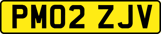 PM02ZJV