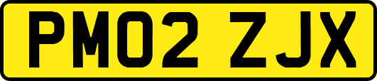 PM02ZJX