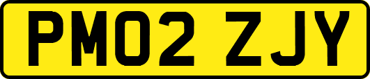 PM02ZJY