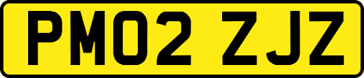 PM02ZJZ