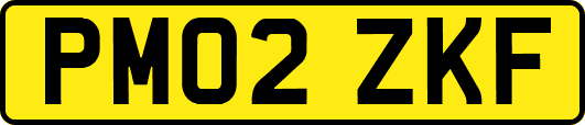 PM02ZKF